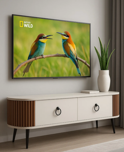 LINEA Oval TV Stand