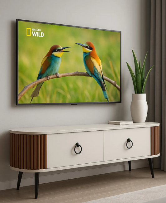 LINEA Oval TV Stand
